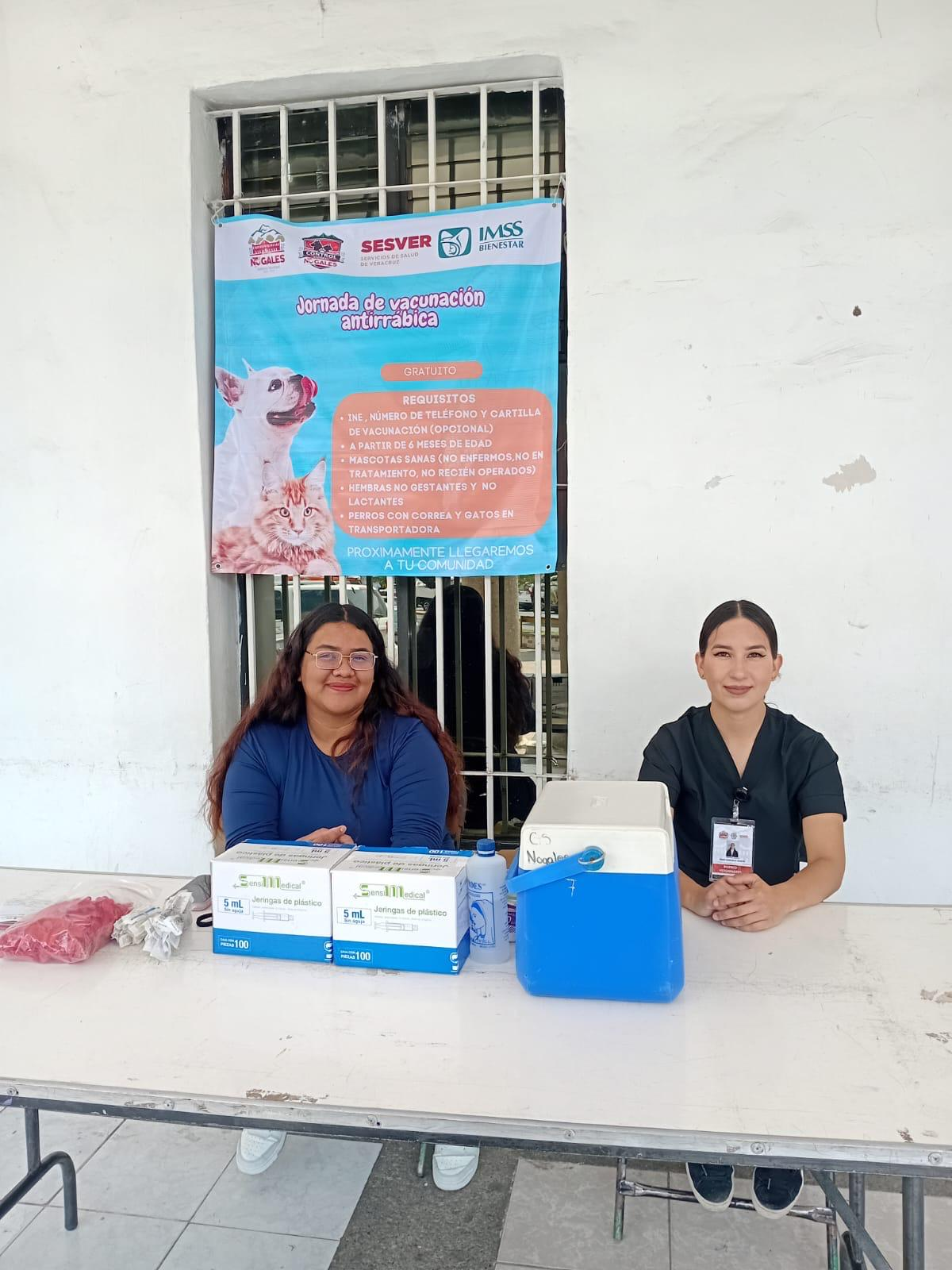 Arranca campaña de vacunación antirrábica en Nogales